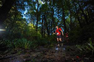 BIB: 
                            <button type="button" onclick="openModal(19233098)" class="btn btn-primary btn-sm float-right btn-popup" data-toggle="modal" data-target=".modal-high-quality">
                        <i class="fas fa-shopping-cart"></i> Add to Cart
                    </button>
                                            <button type="button" onclick="isThisMe(19233098, true)" class="btn btn-success btn-sm float-right btn-popup btn-isme hidden" data-toggle="tooltip" data-placement="bottom" title="นี่คือรูปของคุณใช่ไหม คลิกที่นี่เพื่อเอาเข้าอัลบั้ม">
                        <i class="fas fa-plus"></i> Add to album
                    </button>
                    <button type="button" onclick="isThisMe(19233098, false)" class="btn btn-warning btn-sm float-right btn-popup btn-isnotme hidden">
                        <i class="fas fa-ban"></i> Remove from album
                    </button>